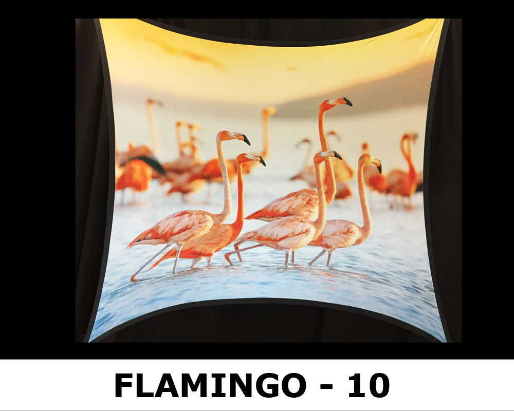 FLAMINGO - 10