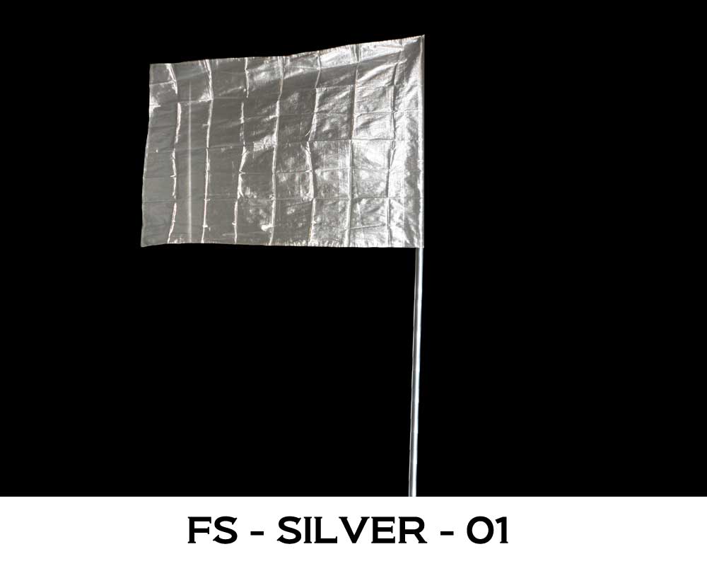 FS - SILVER - 01
