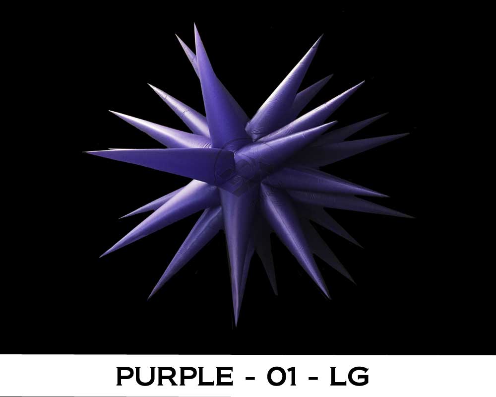 PURPLE - 01 - LG